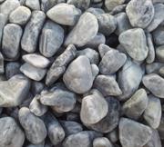 bolo gris blavos